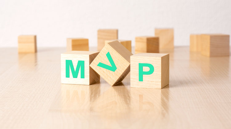 What Is a Minimum Viable Product (MVP)?