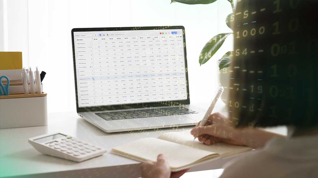 Data maturity
